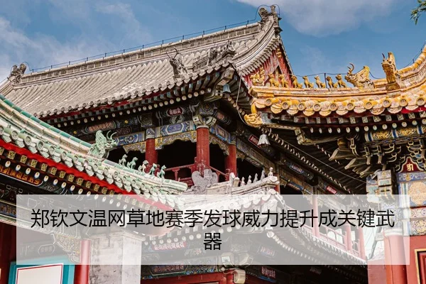 zheng-qin-wen-wen-wang-cao-di-sai-ji-fa-qiu-wei-li-ti-sheng-cheng-guan-jian-wu-qi-3-863.jpg