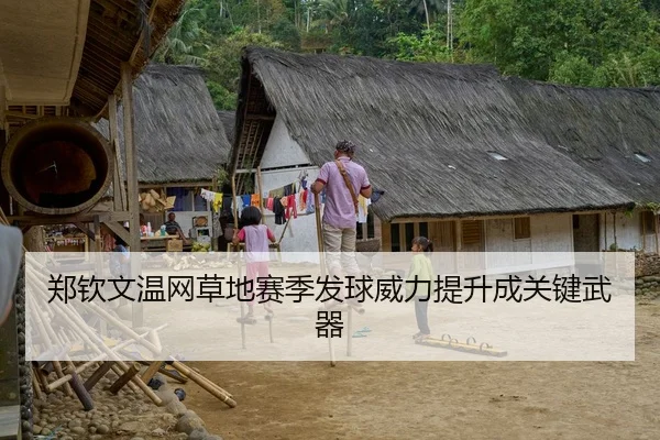 郑钦文温网草地赛季发球威力提升成关键武器