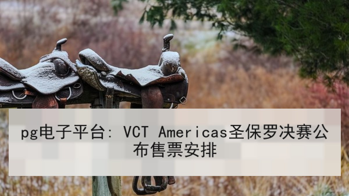 pg电子平台: VCT Americas圣保罗决赛公布售票安排 pg电子平台: VCT Americas圣保罗决赛公布售票安排