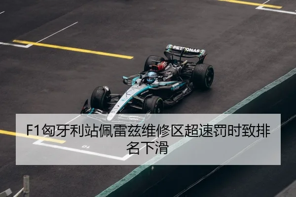 xiong-ya-li-zhan-pei-lei-zi-wei-xiu-qu-chao-su-fa-shi-zhi-pai-ming-xia-hua-3-533.jpg
