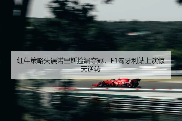 hong-niu-ce-lve-shi-wu-nuo-li-si-jian-lou-duo-guan-xiong-ya-li-zhan-shang-yan-jing-tian-ni-zhuan-2-528.jpg