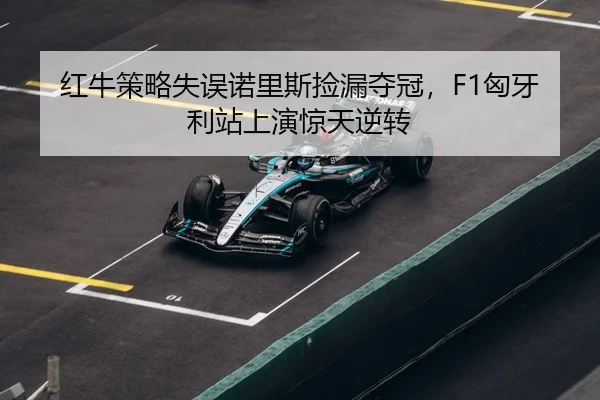 hong-niu-ce-lve-shi-wu-nuo-li-si-jian-lou-duo-guan-xiong-ya-li-zhan-shang-yan-jing-tian-ni-zhuan-3-320.jpg