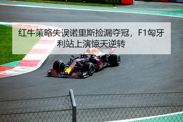 红牛策略失误诺里斯捡漏夺冠，F1匈牙利站上演惊天逆转