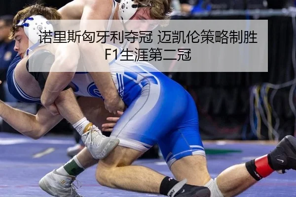 诺里斯匈牙利夺冠 迈凯伦策略制胜 F1生涯第二冠
