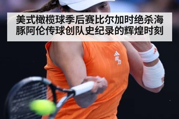 美式橄榄球季后赛比尔加时绝杀海豚阿伦传球创队史纪录的辉煌时刻